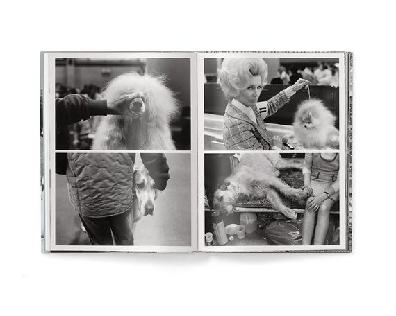 Работы известных фотографов книга Эллиотта Эрвитта с фотографиями собак Elliott Erwitt: Dogs (компактная) | Зображення 7