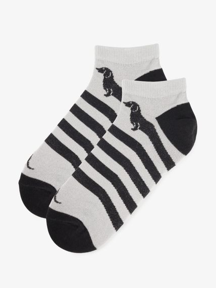 Шкарпетки чоловічі короткі PremierSocks 559 43-46 Сірий shop (4820203391110) | Зображення 1