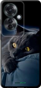 Чохол на Oppo Reno11 F Димчастий кіт "825b-3671-2448"