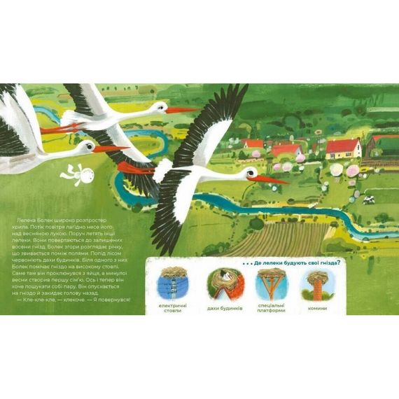 Дитяча книга "Тулі-Тулі Дух-опікун тварин розповідає історії про них" 318222 | Зображення 3