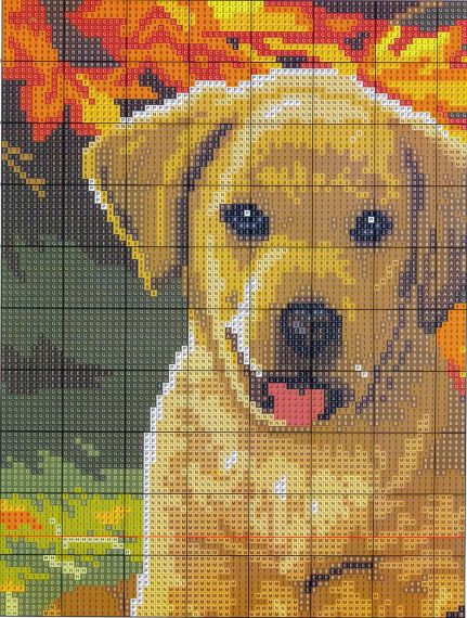 Набір для вишивання за нанесеною на канву схемою "Three dogs 5".AIDA 14CT printed , 48*40 см | Зображення 5