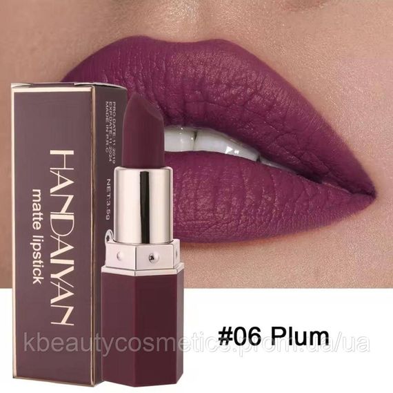 Матовая помада Handaiyan Velvet Matte Lipstick 06 Plum