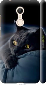 Чохол на Xiaomi Redmi 5 Димчастий кіт "825m-1350-2448"