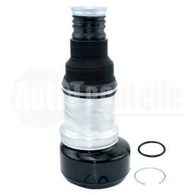 Пневмоподушка Mercedes Benz W221 05-13, AutoTechteile, 110 3253, 110 3245