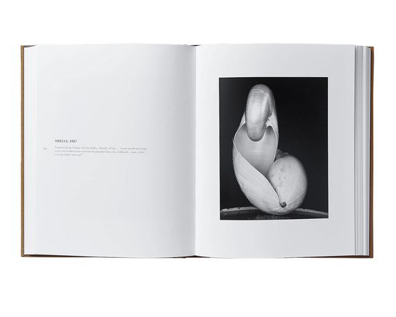 Фотоальбоми відомих фотографів книга фотографій Едварда Вестона Edward Weston.Monograph книги для фотографів | Зображення 2