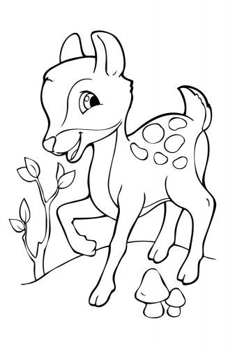 Детская раскраска "Посмотри и раскрась: Зверушки" 628008 | Зображення 2