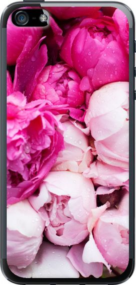 Чехол на iPhone 5 Розовые пионы "2747u-18-17620"