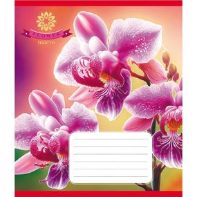 Тетрадь ученическая "Орхидея" 036-570137K-5 в клеточку, 36 листов