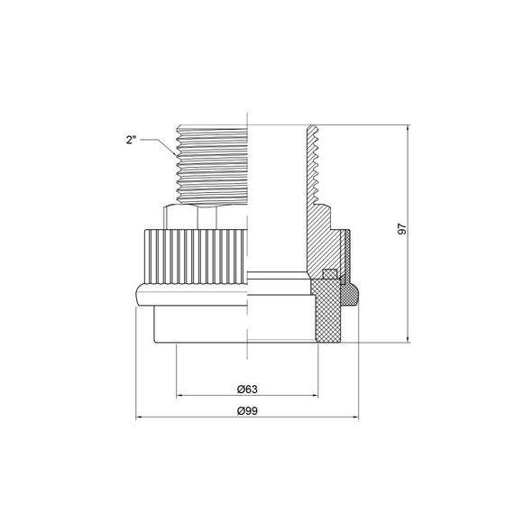 Муфта PPR Thermo Alliance 63х2" ЗР DSB310 | Зображення 1