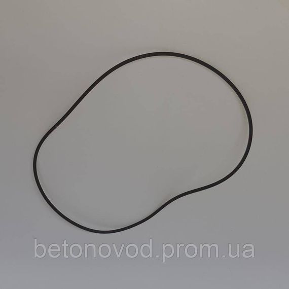 Кільце ущільнювача бетононасосу Sermac