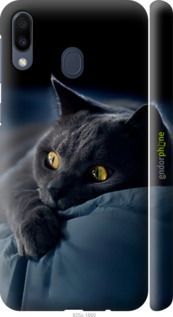 Чохол на Samsung Galaxy M20 Димчастий кіт "825m-1660-2448"