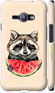 Чохол на Samsung Galaxy J1 Ace J110H Єнотик з кавуном "4605m-215-2448"