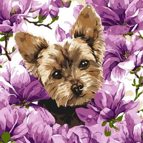 Картина по номерам "Йорк в магнолии" ©art_selena_ua KHO6796, 40х40 см