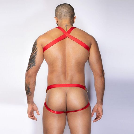 Мужской эротический комплект JSY 9171 One Size sexstyle | Зображення 4