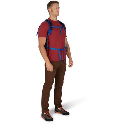 Рюкзак туристичний Osprey Sportlite 20 pine leaf green - O/S - зелений (009.3047) | Зображення 9