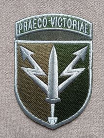 Шеврон ССО UASOF (силы специальных операций) ЗСУ С надписью зеленый