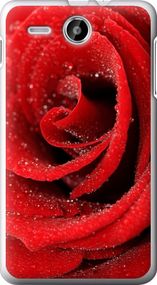 Чехол на Lenovo A529 Красная роза "529u-200-17620"