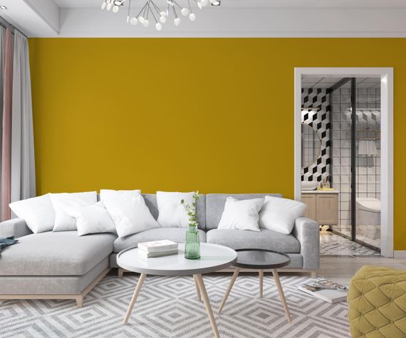 Краска Интерьерная Латексная Skyline 2060Y (C) Янтарь 10л | Зображення 2