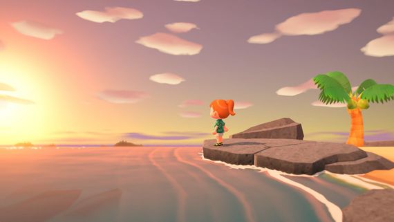 Игра консольная Switch Animal Crossing: New Horizons 045496425449 | Зображення 2
