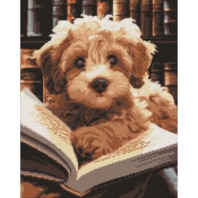 Алмазная мозаика "Пушистый читатель" AMO7973, 40х50 см