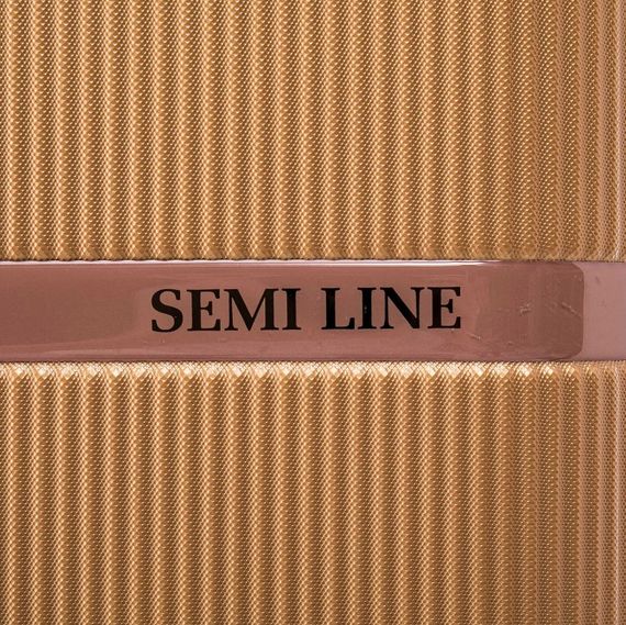 Бьюті-кейс Semi Line 16L Gold (T5667-1) (DAS302653) | Зображення 1