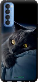 Чохол на Oppo Reno 4 Pro Димчастий кіт "825b-2024-2448"