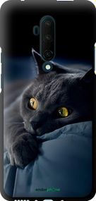 Чохол на OnePlus 7T Pro Димчастий кіт "825b-1810-2448"