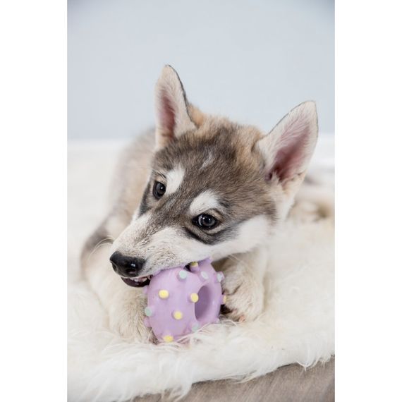 Іграшка Trixie для цуценят Кільце Junior латекс 8 см | Зображення 7