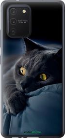 Чохол на Samsung Galaxy S10 Lite 2020 Димчастий кіт "825t-1851-2448"