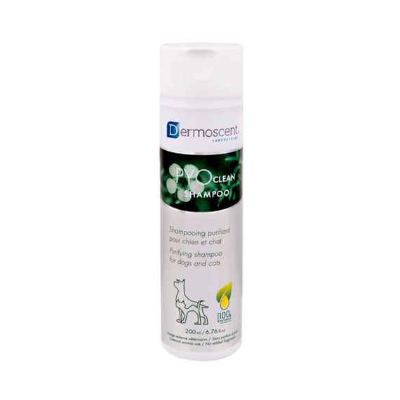 Шампунь для профилактики кожных заболеваний у котов и собак Dermoscent PYOclean Shampoo, 200 мл