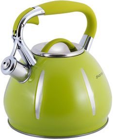 Чайник 3л со свистком из нержавеющей стали Green