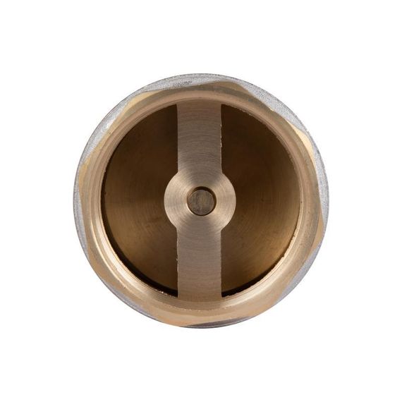 Зворотний клапан Thermo Alliance Standart 2" ВВ з латунним штоком TAS240W50 | Зображення 4