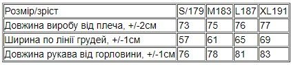 Худі для чоловіків (оверсайз) Носи своє S/179 Блакитний (p-14976-170780) | Зображення 2