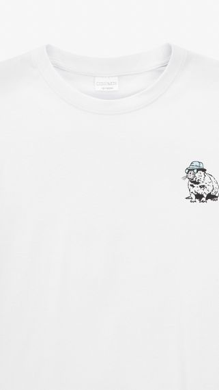 Футболка для хлопчика Dinomin 2613 146 см Білий shop (2000999454547) | Зображення 1
