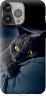 Чохол для Apple iPhone 13 Pro Max з силікону FCh_032306