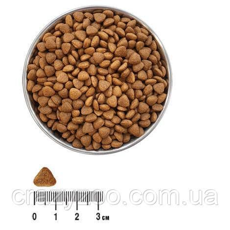 Сухой корм для котов Екко гранула с курицей 1 кг 4820249130346 | Зображення 1