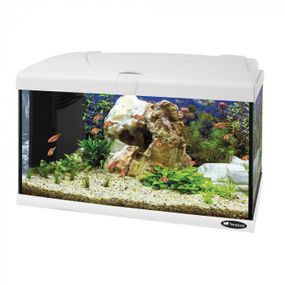Акваріум Ferplast CAPRI 60 LED WHITE 60 x 31,5 x h 39,5 cm