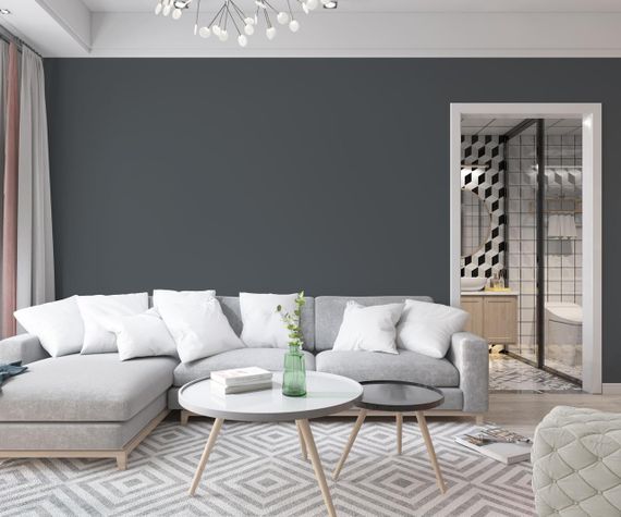 Краска Интерьерная Латексная Skyline 6502-G Касторовый 5л | Зображення 2