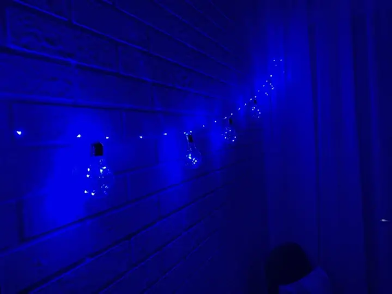Гірлянда RD-9009 Лампа Едісона 75LED 2,5 м Колір LED-Синій 220v | Зображення 2