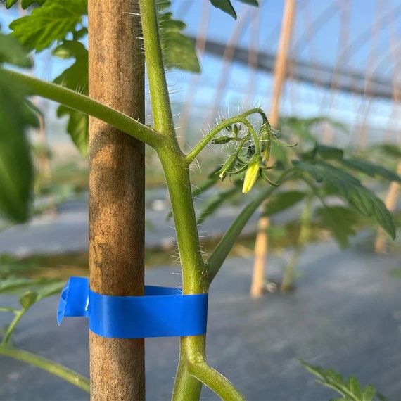 Лента для садового степлера (26м х 11мм), 1шт / Лента для подвязки винограда | Зображення 1