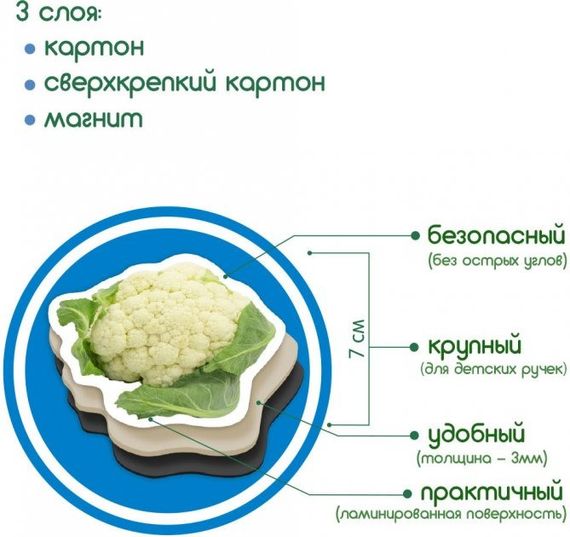 Набор магнитов Magdum "Овощи" ML4031-12 EN | Зображення 8