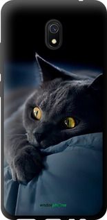Чохол на Xiaomi Redmi 8A Димчастий кіт "825b-1794-2448"