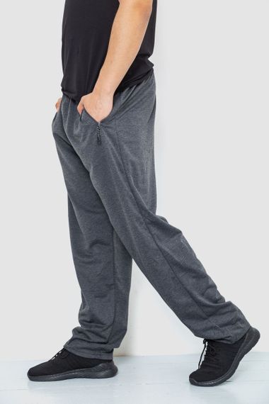 Спорт чоловічі штани, колір темно-сірий, 244R41392 | Зображення 2