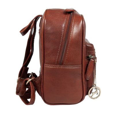 Рюкзак туристический Ashwood T87 Chestnut | Зображення 2