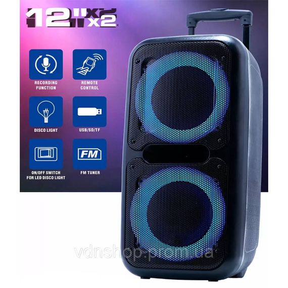 Потужна колонка активна, Колонка валіза на колесах блютуз Музична з Bluetooth і флешкою NR-30 | Зображення 3