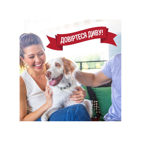 Засіб Nature’s Miracle ADV Dog Stain and Odor Elimin Spray для усунення плям та запахів від собак з посиленою формулою 946 м | Зображення 3