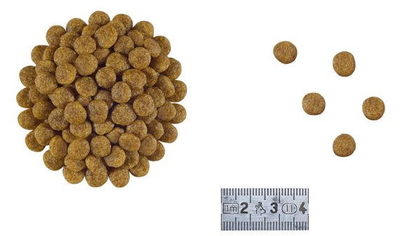 Cухий корм для собак малих порід із захворюваннями ШКТ Royal Canin Gastrointestinal Low Fat Small Dog, 1.5 кг | Зображення 1