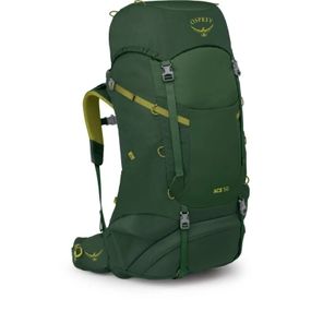 Рюкзак туристический Osprey Ace 50 green canopy - O/S - зелений (009.3886)