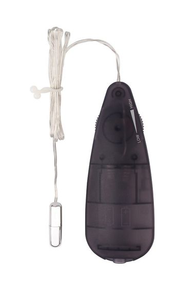 Віброкулька Chisa Hi-Basic Mini Bullet з пультом керування, срібляста sexstyle | Зображення 1