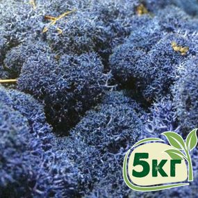 Стабілізований мох ягель Синій блакитний 5 кг